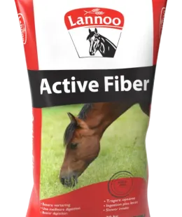 lannoo