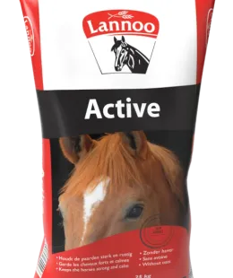 lannoo