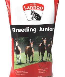 lannoo