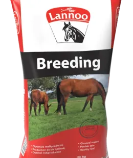 lannoo