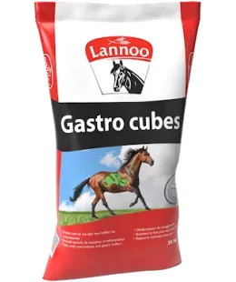 lannoo