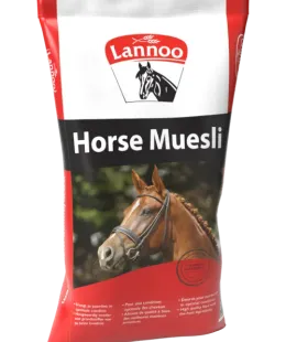 lannoo
