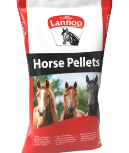 lannoo