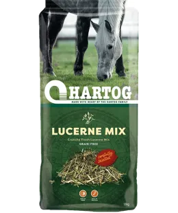 hartog
