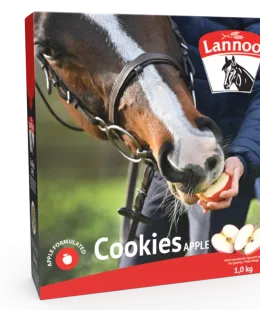 lannoo