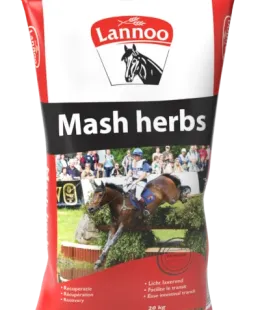 lannoo