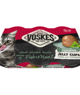 VOSKES